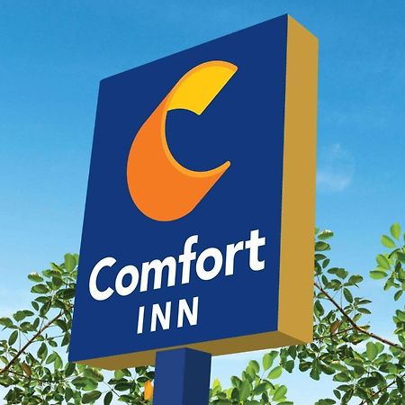 מרטינסוויל Comfort Inn מראה חיצוני תמונה